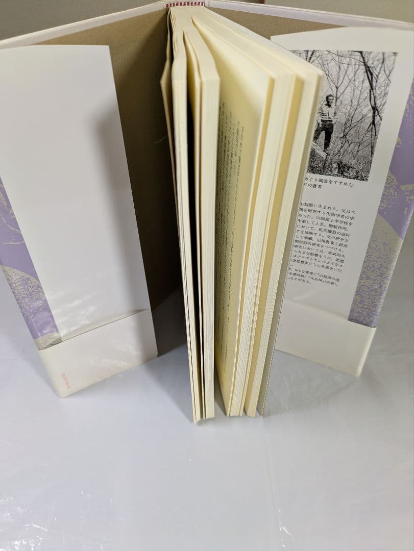 石にやどるもの　甲斐の石神と石仏　中沢厚著　平凡社刊行