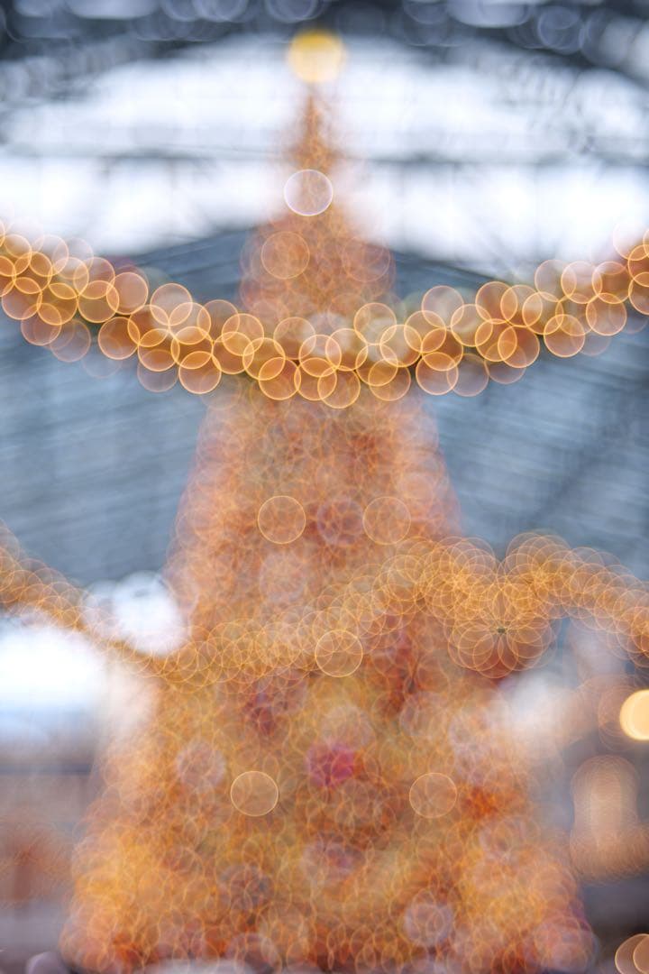 key　Meyer Trioplan N 100mm f2.8