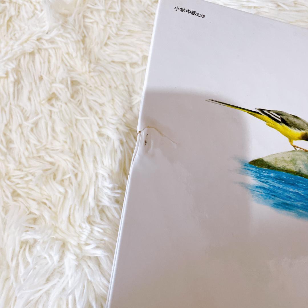 【絶版・希少】たくさんのふしぎ傑作集　35冊セット　福音館書店